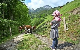 Bed And Breakfast Im Backpackers-Aelplersuit Im Berghuesli
